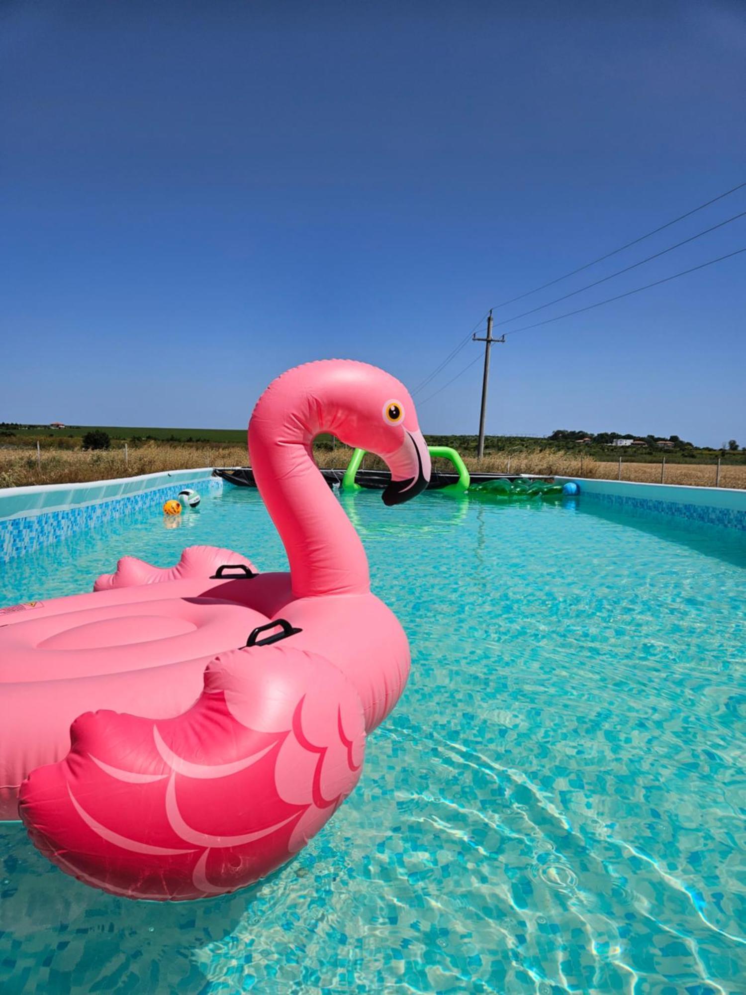 Mar A Lago Glamping23 Douăzeci şi Trei August Buitenkant foto