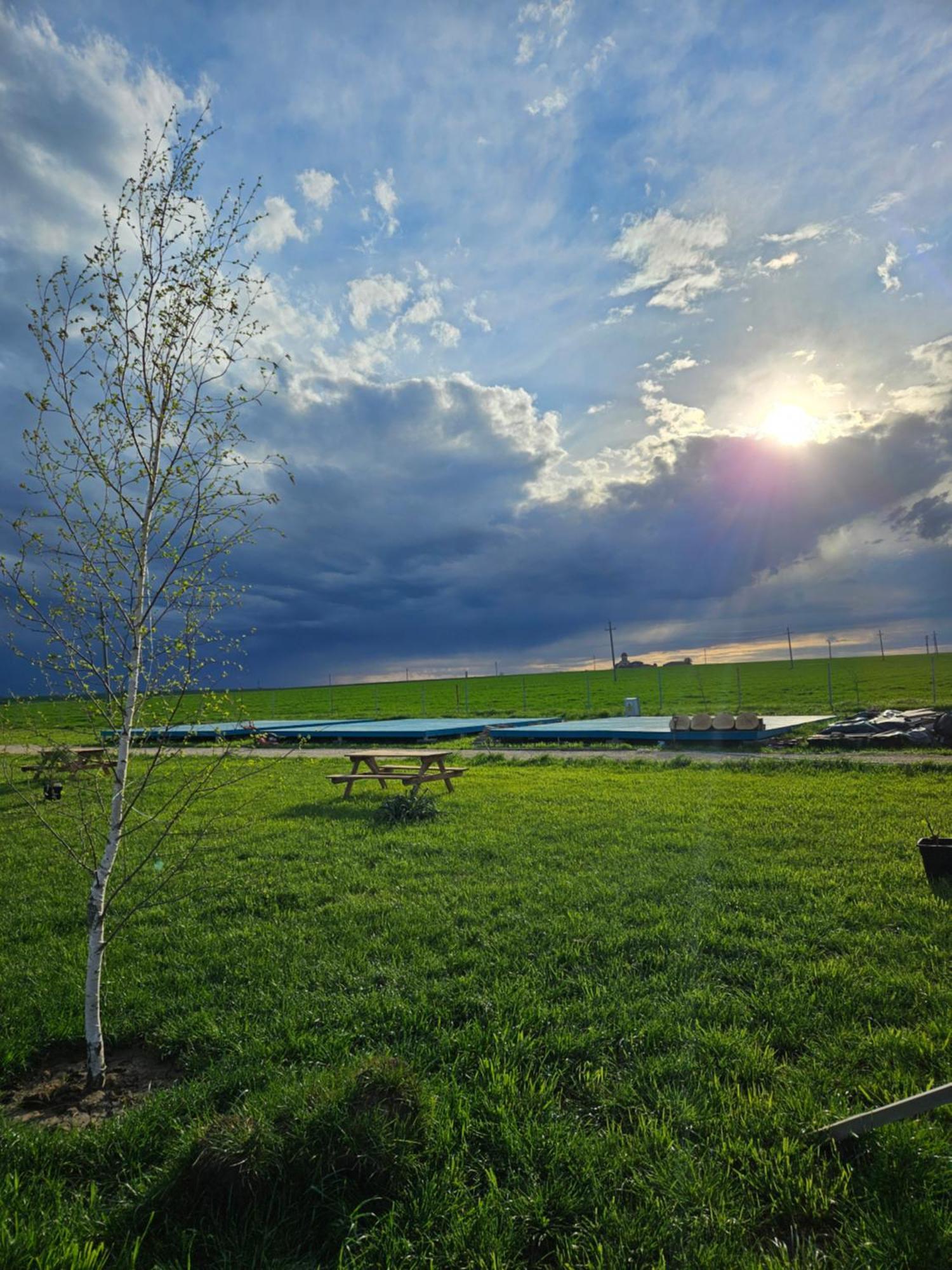 Mar A Lago Glamping23 Douăzeci şi Trei August Buitenkant foto