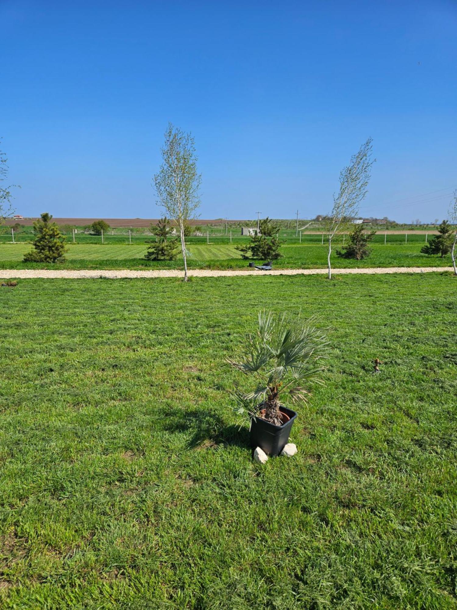 Mar A Lago Glamping23 Douăzeci şi Trei August Buitenkant foto