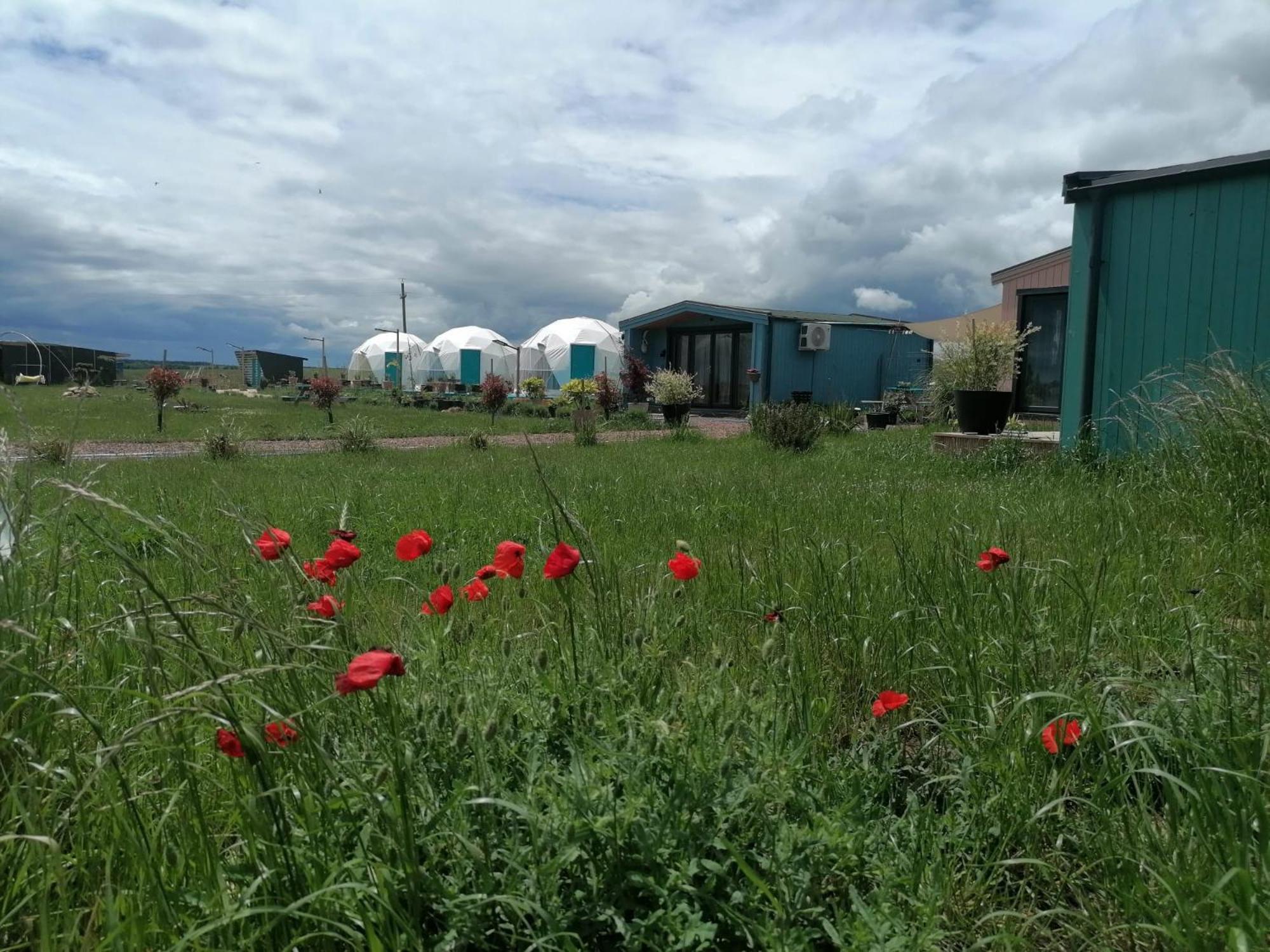 Mar A Lago Glamping23 Douăzeci şi Trei August Buitenkant foto